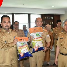 Penyerahan simbolis beras bulog kepada gubernur sulbar