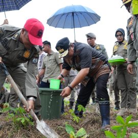 Manfaatkan Lahan Kosong, Pj Bahtiar Tanam Pisang di Halaman Pemprov Sulbar