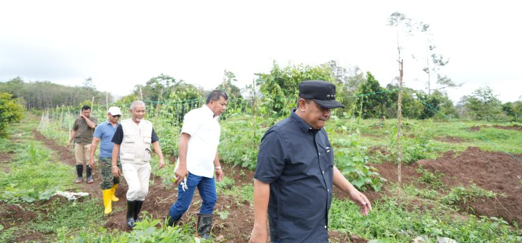 Pj Bahtiar Dorong Warga Sulbar Menanam Hortikultura dalam Bentuk Massal